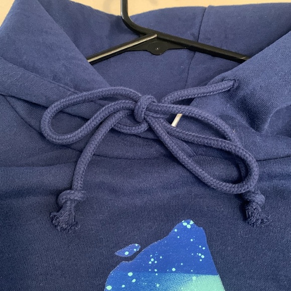 Avatar Unisex Graphic Hooded Sweatshirt - Picture 8 of 10